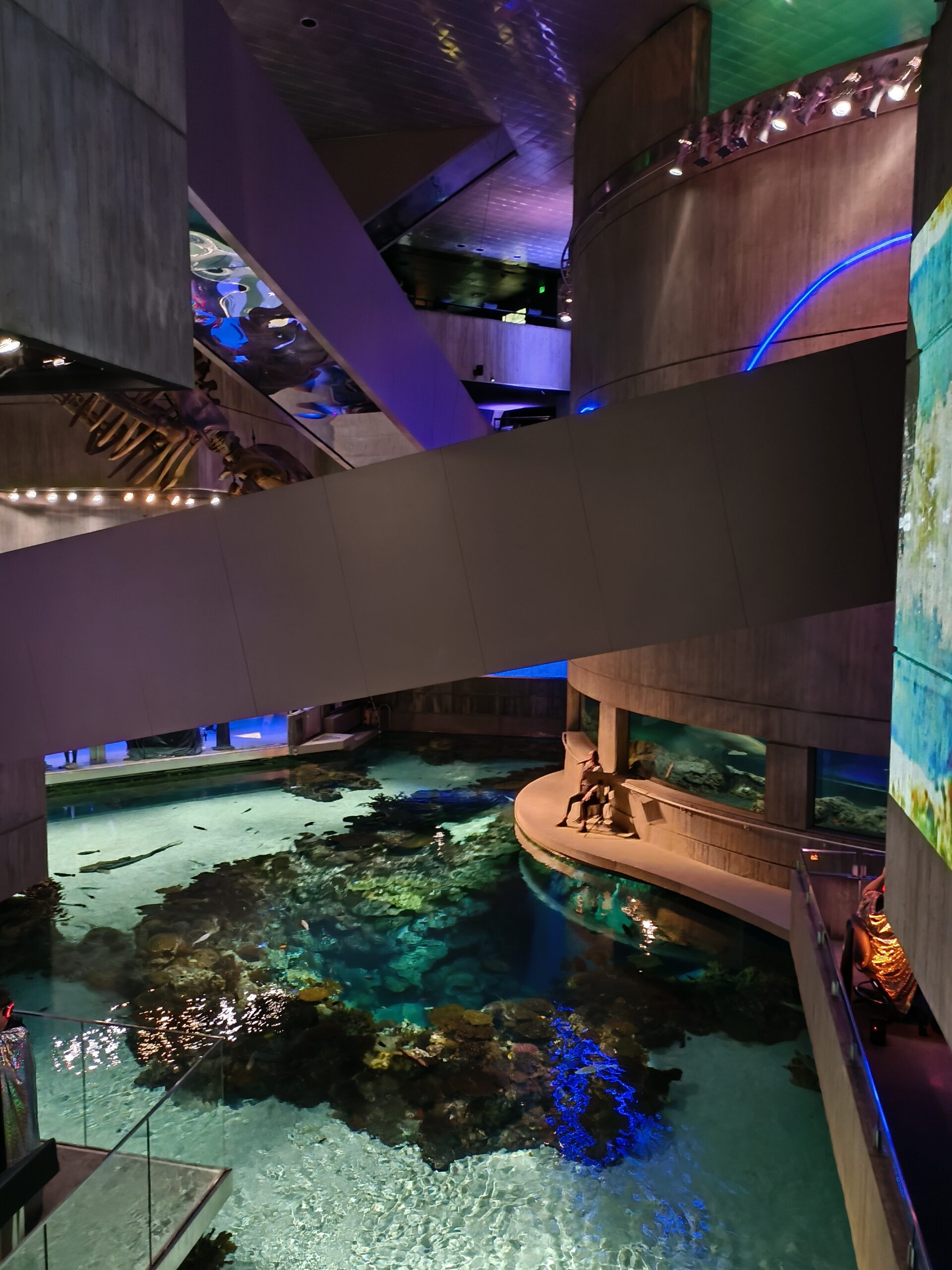 CMF Phone 1 aquarium low light