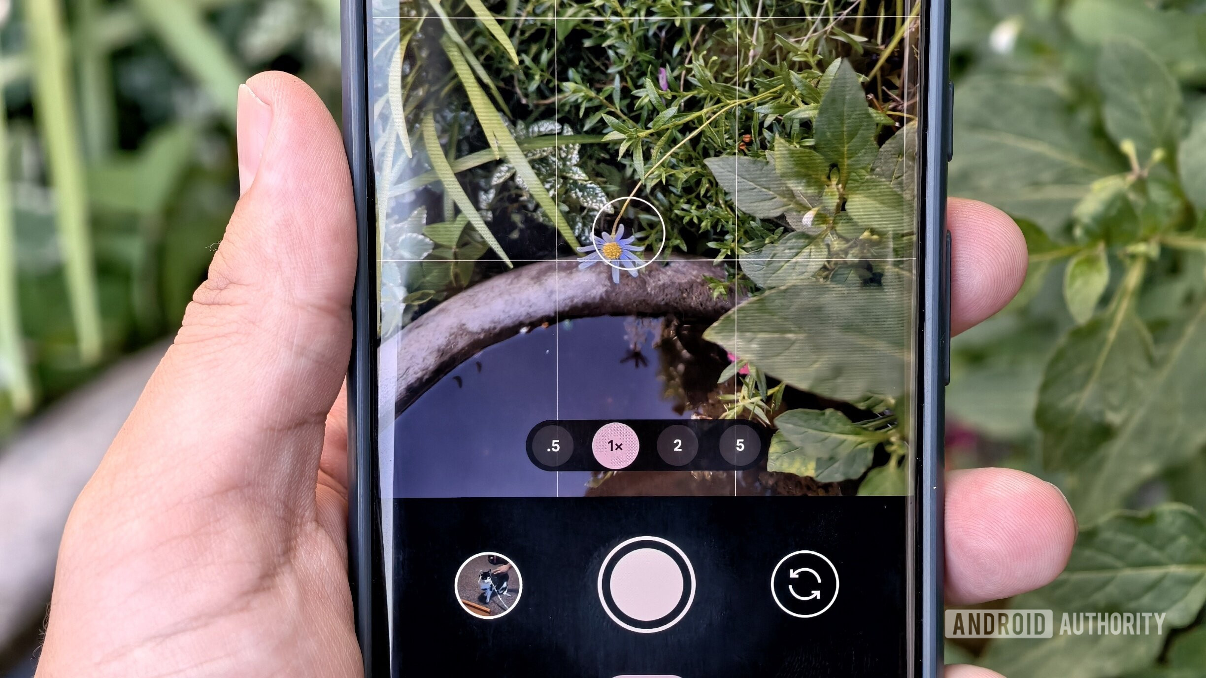 Google Pixel 7 Pro tap to focus in camera app Google Pixel 7 Pro tap to focus in camera app