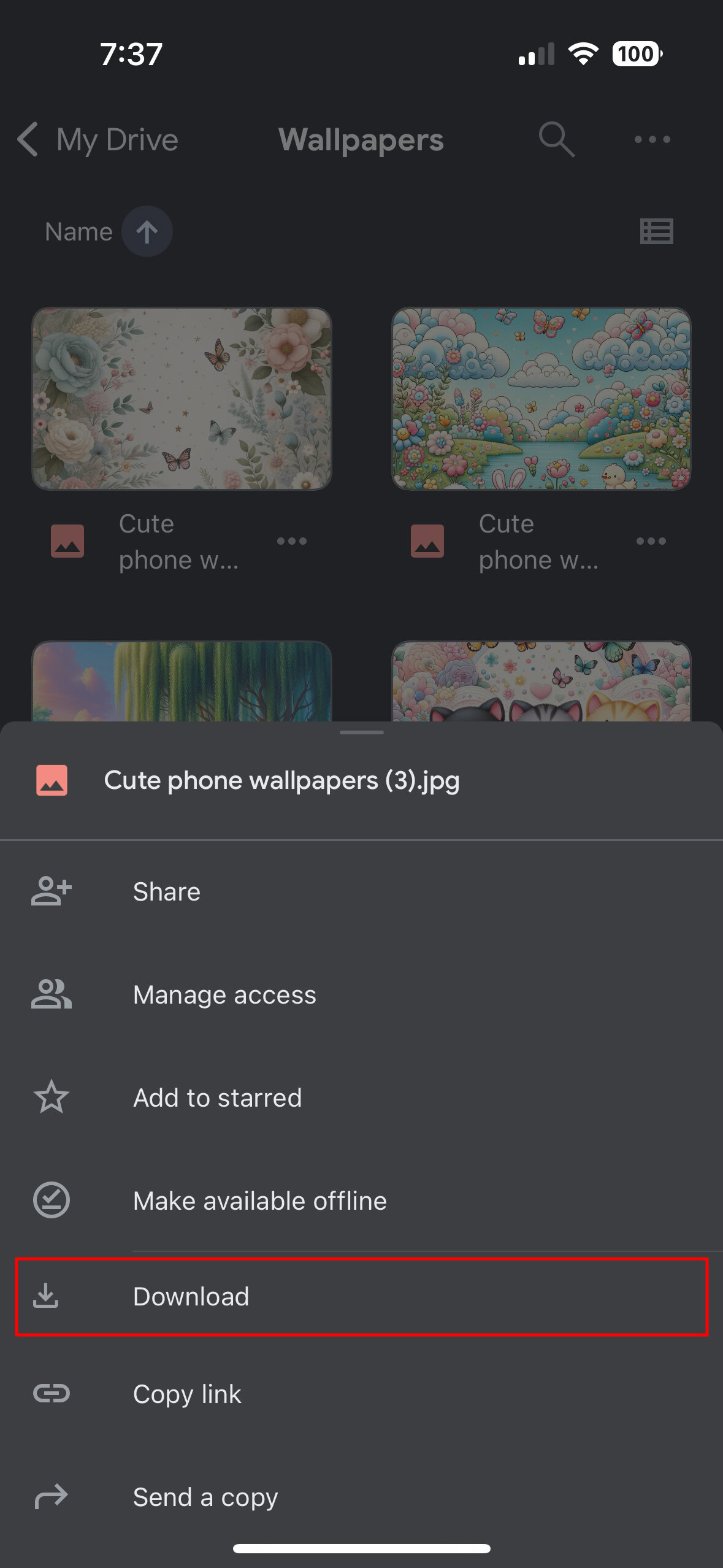 How to download files from the Google Drive iPhone app 2
