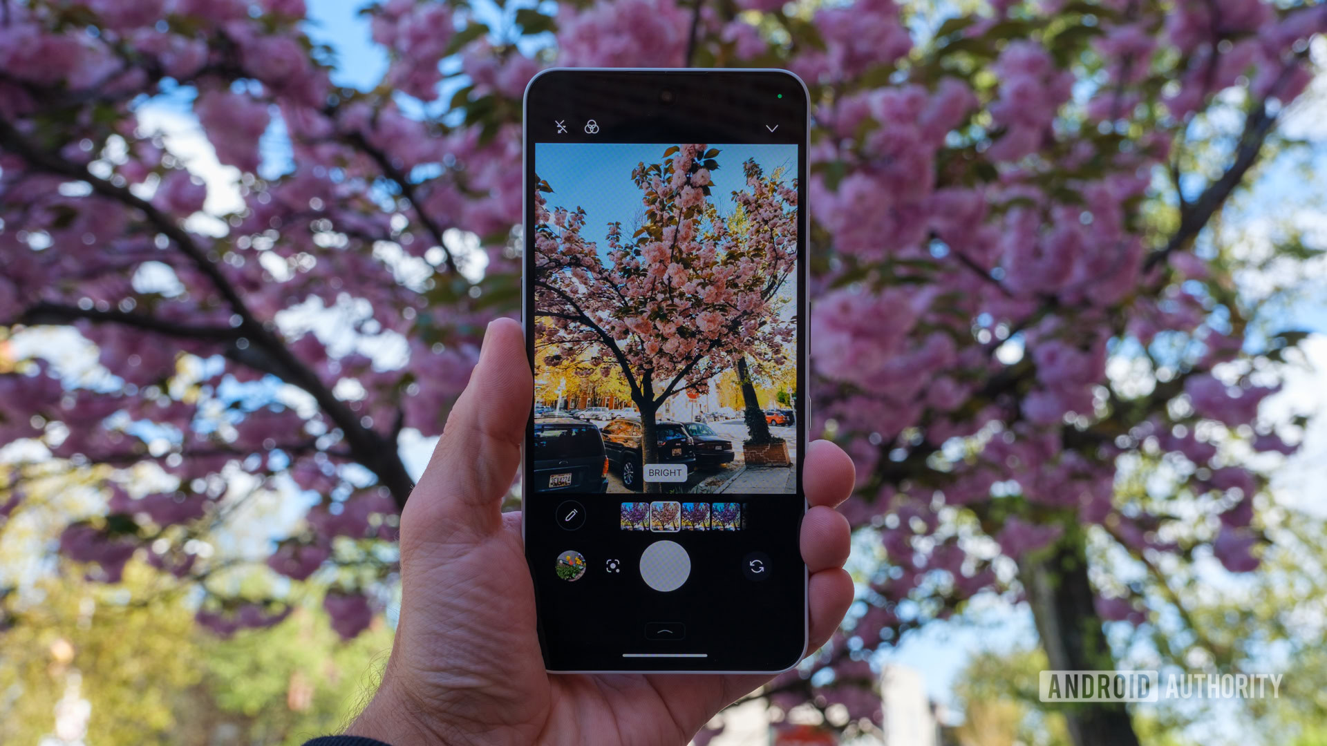 Nothing LUT camera filters in camera app Nothing LUT camera filters in camera app