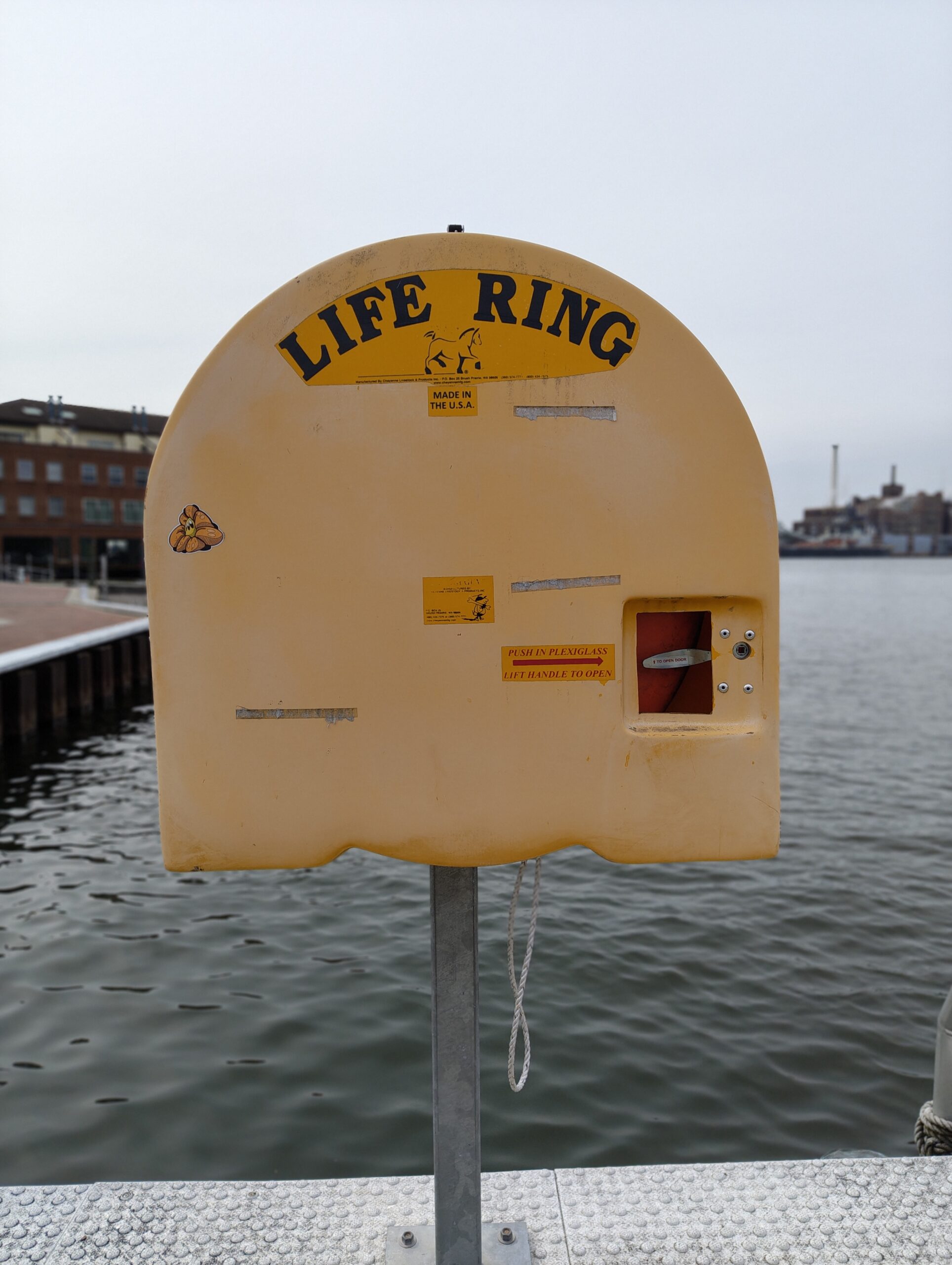 Nothing Phone 3a life preserver portrait mode