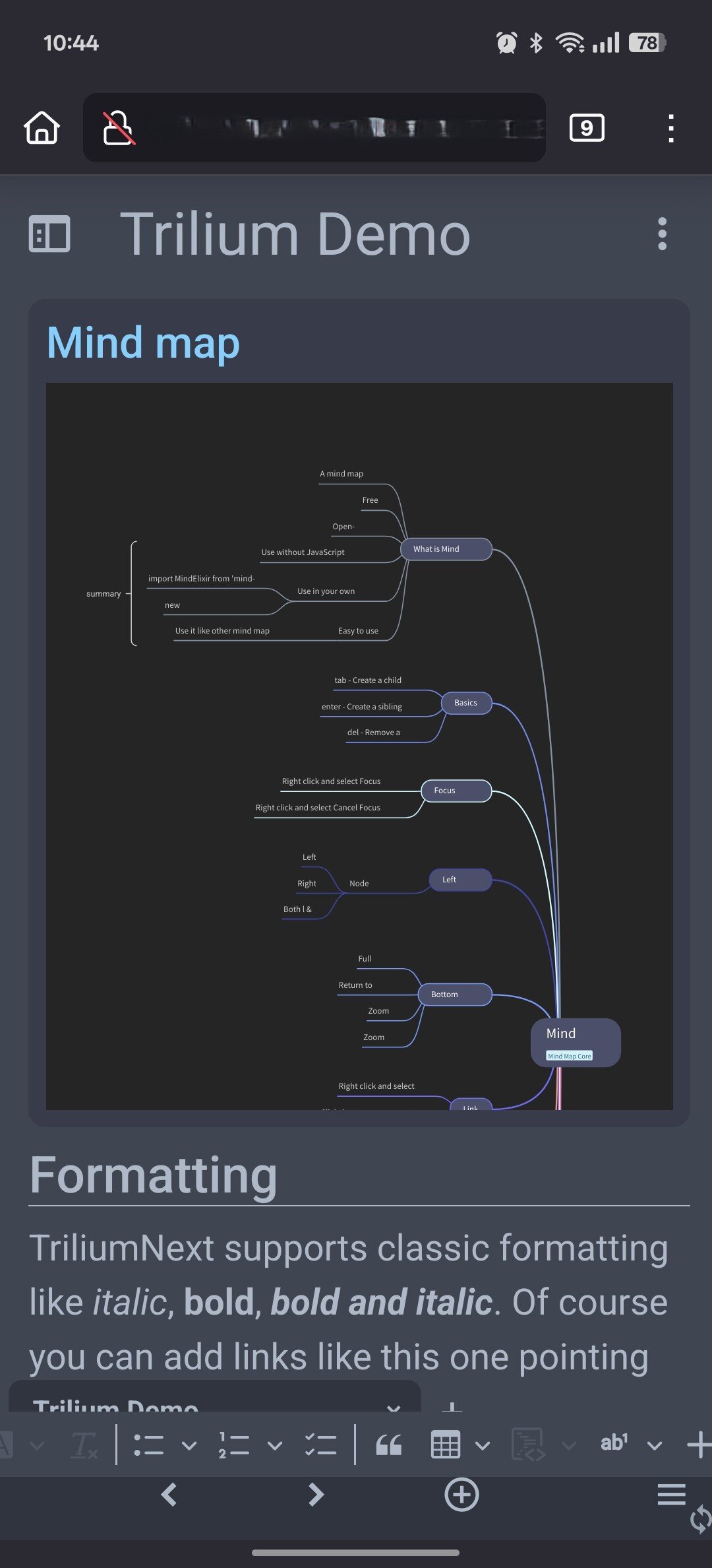 Trilium Next Mind Map Example